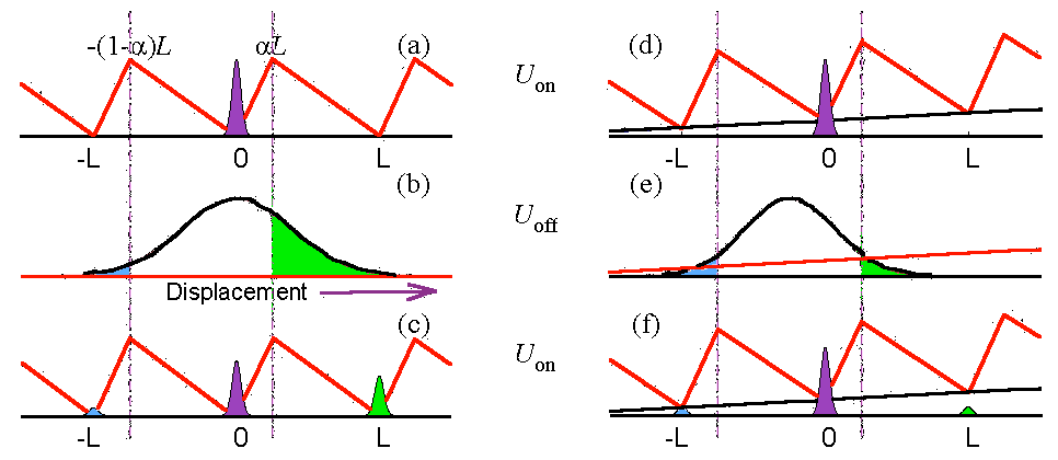 Particle Distributions