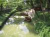 chinesegardenwithcreek_small.jpg