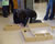 Taking some maze measurements in preparation for programming