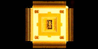 chip
