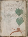 Thumbnail for version as of 16:20, 7 June 2015