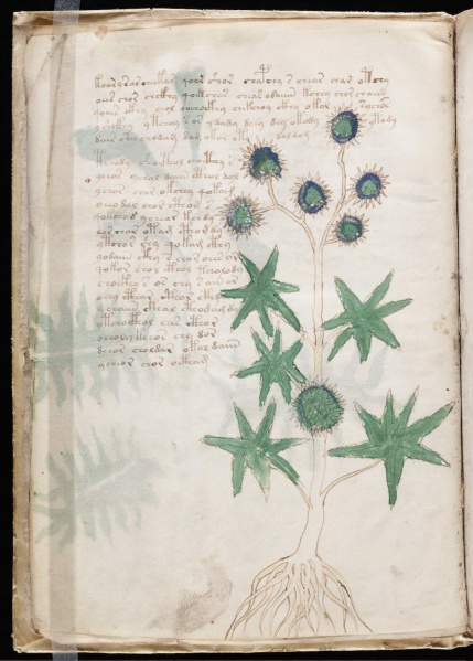 File:F9v original.jpg