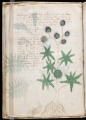 Thumbnail for version as of 10:50, 6 June 2014
