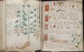 Thumbnail for version as of 15:05, 17 April 2015