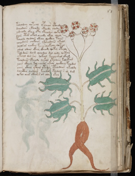 File:Vms p101.jpg