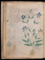 Thumbnail for version as of 19:37, 23 October 2014