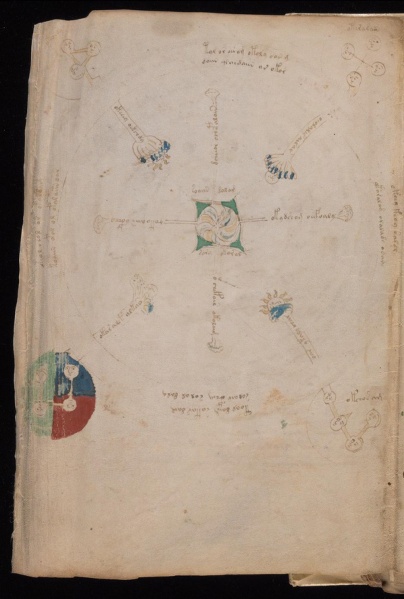 File:VM 67v2.jpg