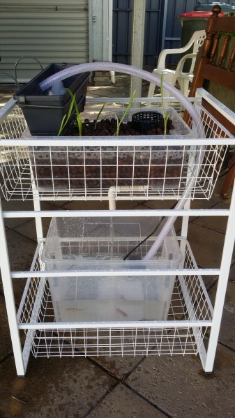 File:Practical.jpg