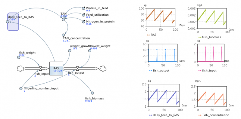 File:Fish simulation.png